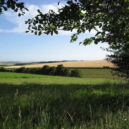 Seggat Farm Holiday Cottages Kirktown of Auchterless Dış mekan fotoğraf